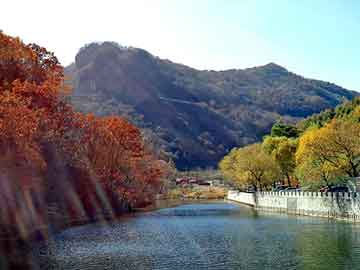 新澳天天开奖资料大全旅游团，杨树手机铃声